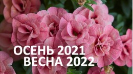 Открыт прием заказов на сезон ОСЕНЬ 2021 - ВЕСНА 2022